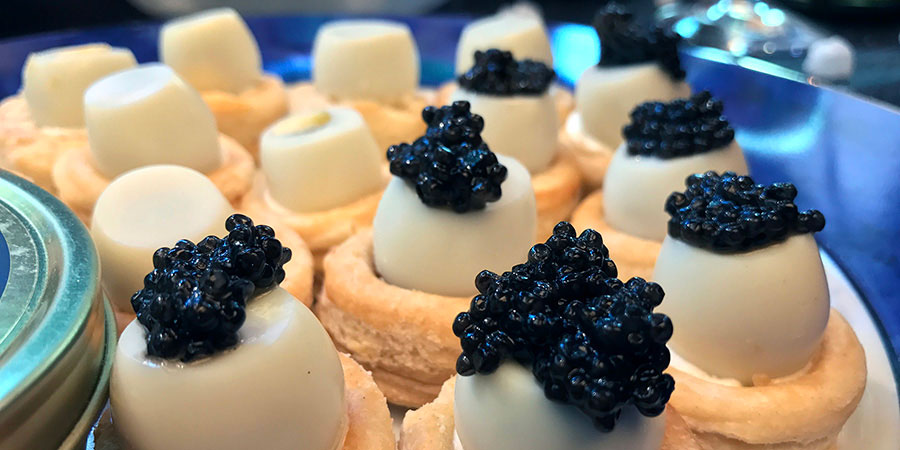 Fotos del evento lanzamiento de Caviar & Co en Chile