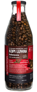 Globe Italia | La distribuidora trae a Chile Kopi Luwak, el caf ms excntrico y exclusivo del mundo