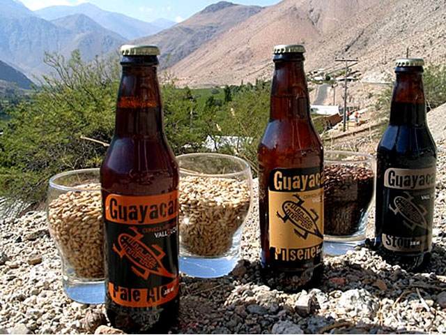 cerveza Guayacn - Galeria de imgenes cerveza Guayacn