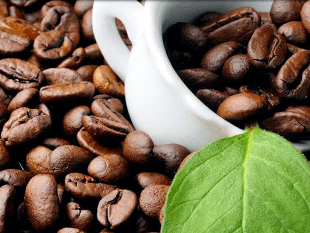 Caf� en granos - Galeria fotos de hoja verde