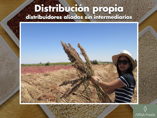  - Galeria de imgenes Arga foods