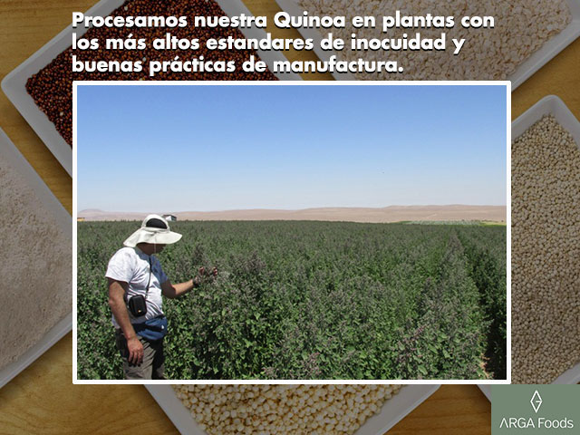  - Galeria de imgenes Arga foods