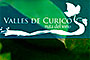 Rutas del Vino Curicó