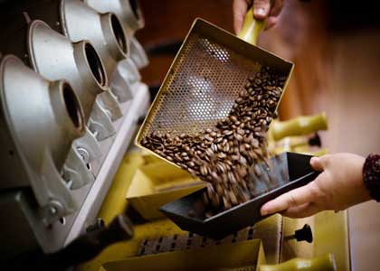 Britt suma el sofisticado Caf� Org�nico cultivado bajo sombra, a su Oferta Gourmet