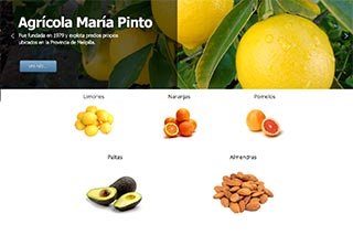 Agrícola Maria Pinto