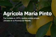 Agrícola Maria Pinto