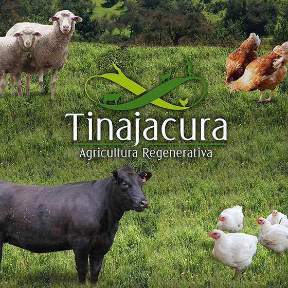Agr�cola Tinajacura