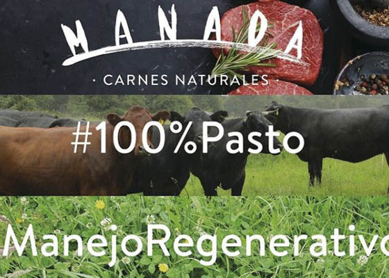 Carnes Manada