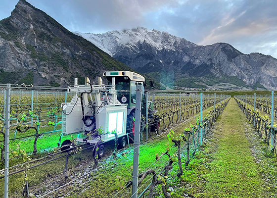 Grupo Partner cumple 30 aos contribuyendo al crecimiento de la industria del vino nacional y anuncia el lanzamiento de tecnologas que utilizan la inteligencia artificial para optimizar el proceso productivo de vinos y destilados Chilenos