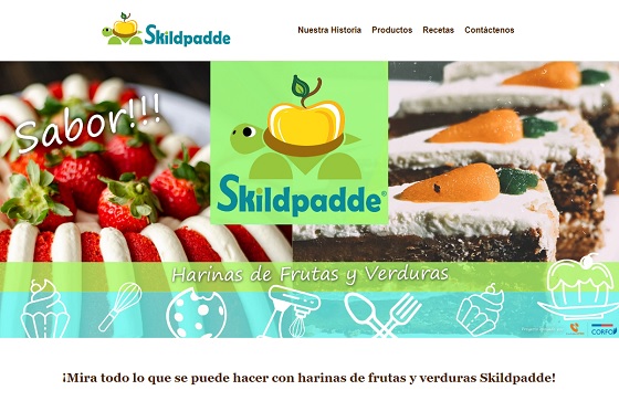 Skildpadde