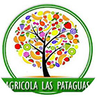 Tomates Agrcola Las Pataguas