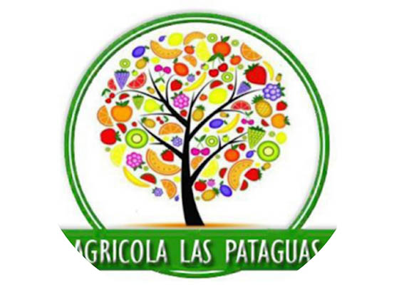 Tomates Agrcola Las Pataguas