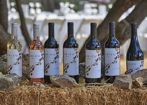 Vinos Maquis y Calcu Horeca