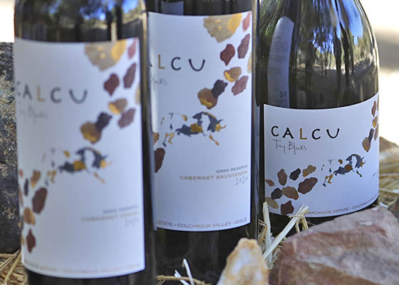 Vinos Calcu Horeca