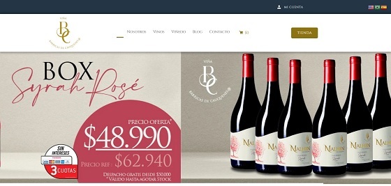 Vinos Barricas de Cauquenes