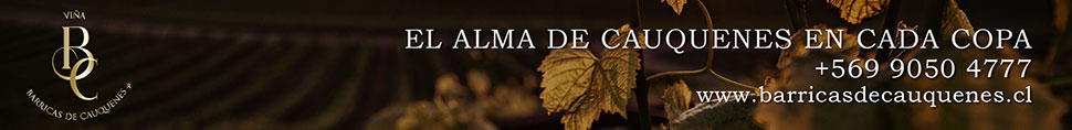 Vinos Barricas de Cauquenes