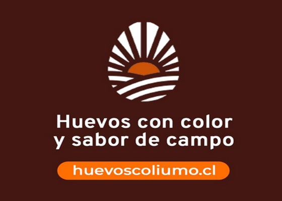 Huevos Coliumo