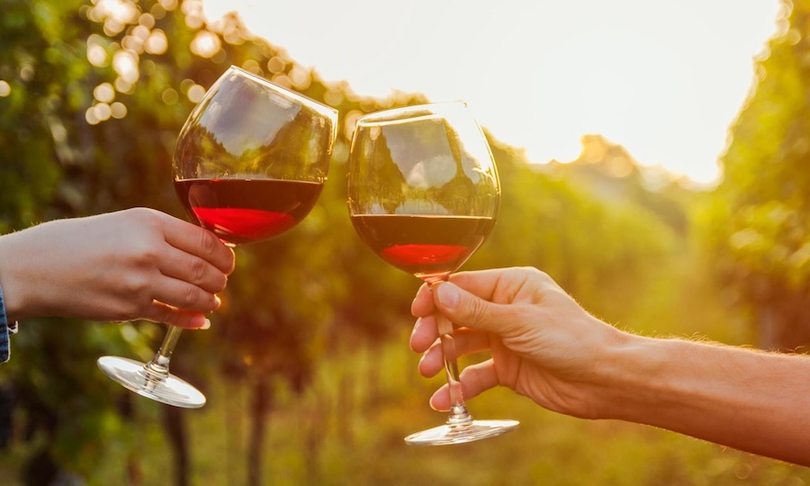 Día del Vino Chileno: Un Brindis por la Tradición y la Innovación