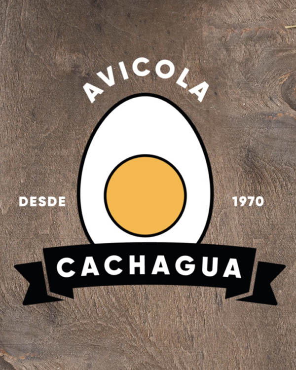 Avicola Cachagua - Avipal